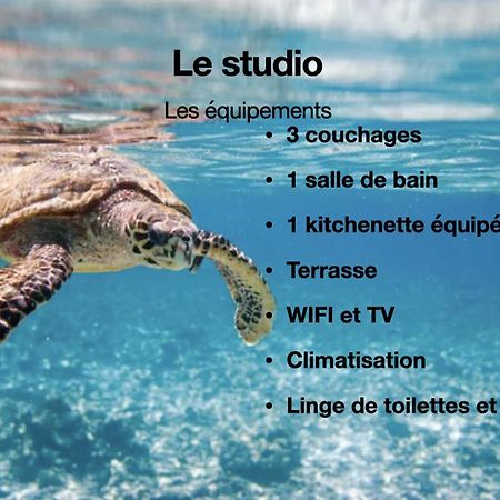 Studio Hippocampe P&V Sainte-Luce Exterior photo